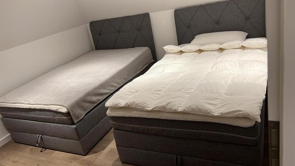 Ferienwohnung Nella Paderborn Esterno foto